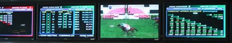 singapore pool horse racing results